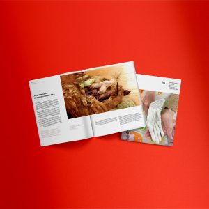 Catalogue Première Ovation 15